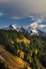 Autumn hues on Mazama Ridge and fresh snow on Tatoosh Range in Mount Rainier NP, Washington Art Print